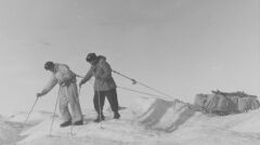 Album &quot;100x100&quot;: Polska wyprawa naukowa na Spitsbergen(sygn. 1-N-980-3) - 347 polubień