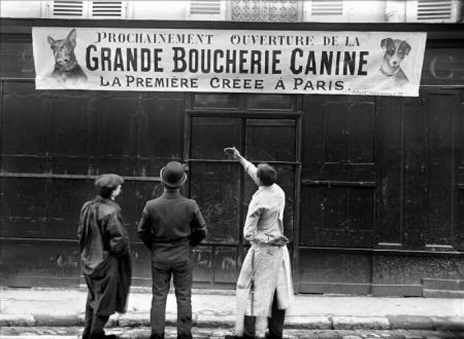 Paryska psia rzeźnia - 1910 rok