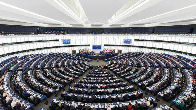   Senate Committees for Changes in the Elections to the European Parliament 