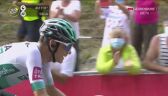 Zwycięstwo Lennarda Kaemny na 16. etapie Tour de France