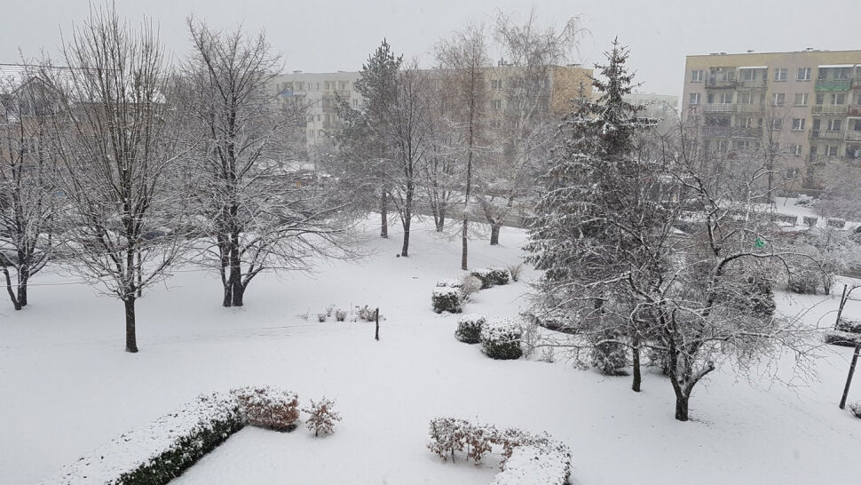 Mróz i śnieg wróciły do Polski. Najgorzej będzie na południu