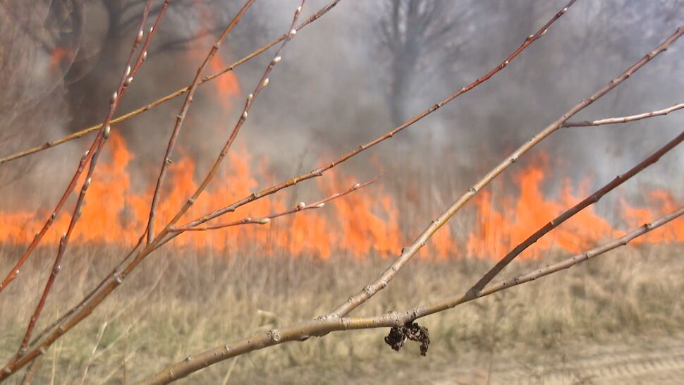 W Polsce coraz częściej dochodzi do pożarów lasów. To skutek suszy